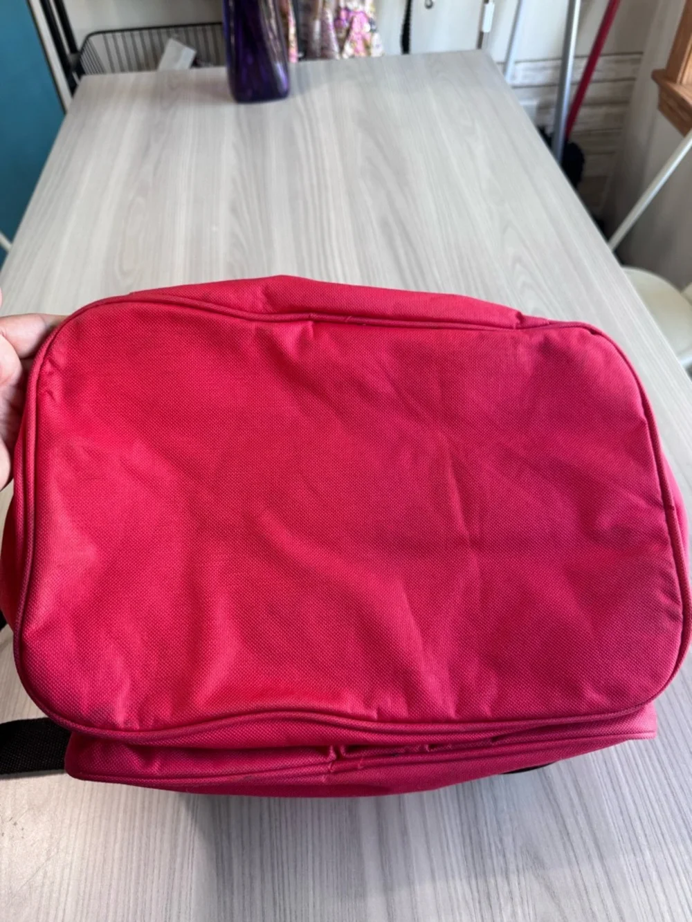 Budweiser BWSCB001 Bluetooth Speaker Cooler Bag